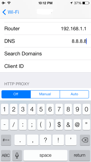 Custom DNS Settings on iPhone