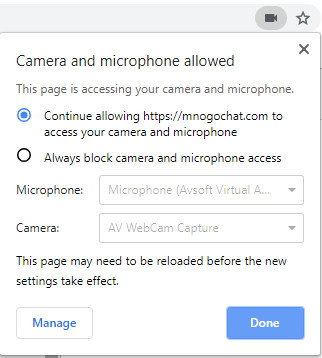 camera and microphone allowed