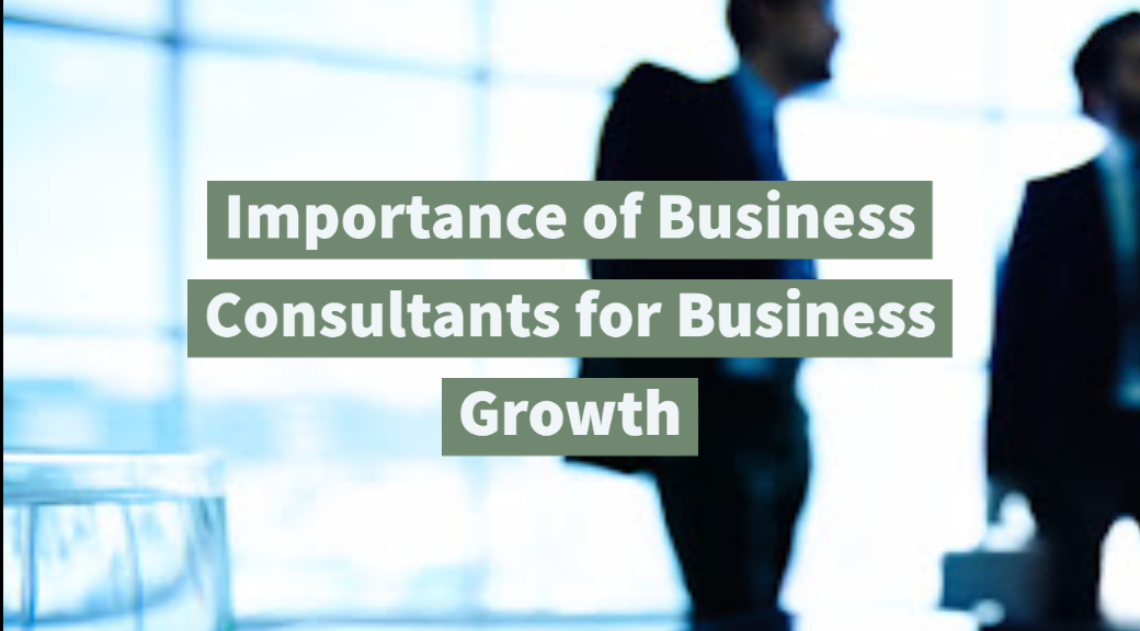 Importance of Business Consultants for Business Growth