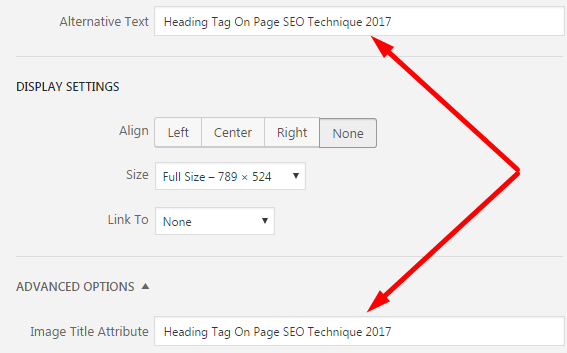 Image ALT Tag On Page SEO Technique 2017