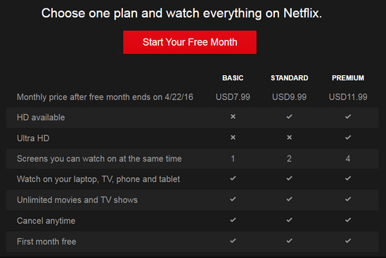 premium netflix accounts