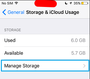 manage storage tab iphone