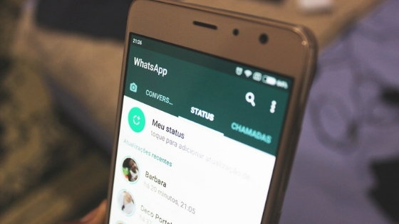 Send a WhatsApp Message Without Saving the Contact