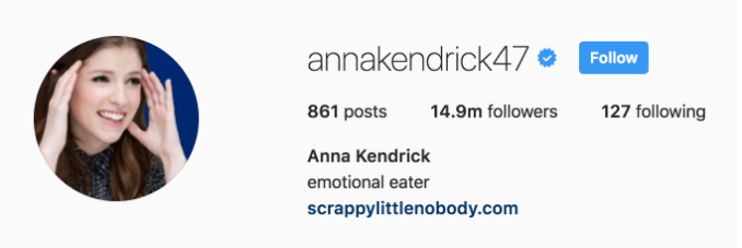 funny instagram bios