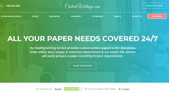 Professional writing services reviews