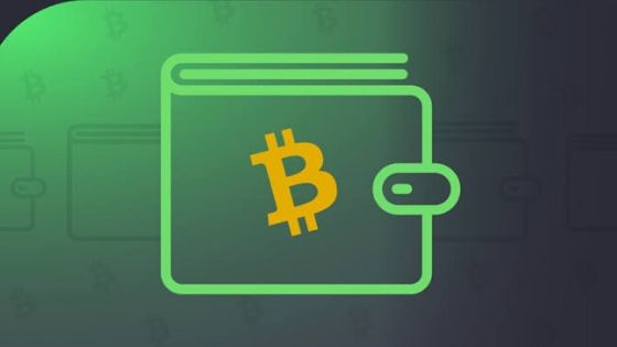 Best Bitcoin wallets