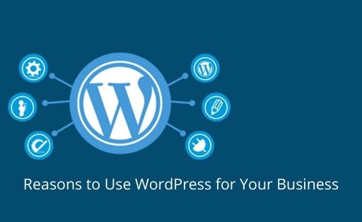 Reasons to Use WordPress for Your Business
